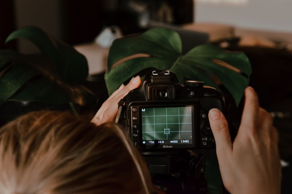 photographer taking multiple angles of plant leaf