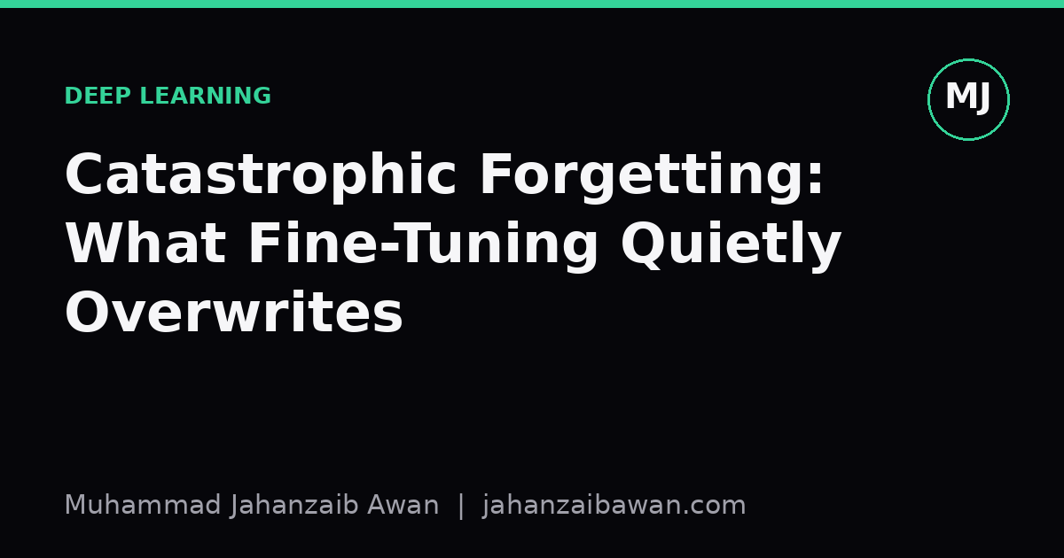 Cover image for the article: Catastrophic Forgetting: What Fine-Tuning Quietly Overwrites